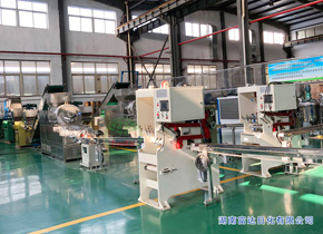 油脂皂化、肥皂成套生產(chǎn)線 FZ-2000